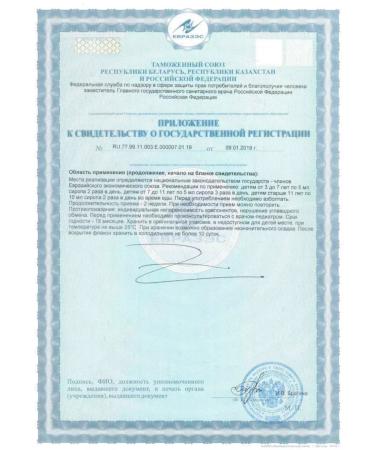 KIDZ (KIDZ) syrup with lemon balm and mint 20 sticks of 5ml -2up - Buy Online on GoSupps.com