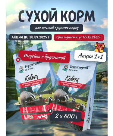 Territory Dry food for puppies and pregnant dogs of large breeds