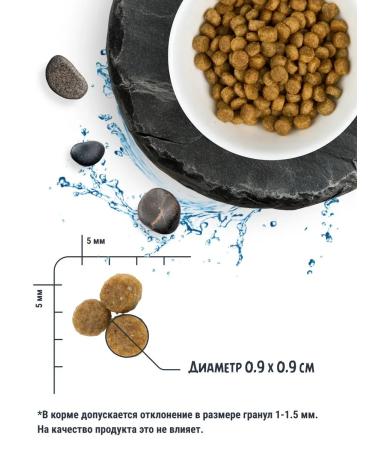 Territory Dry food for puppies and pregnant dogs of large breeds - Buy Online on GoSupps.com