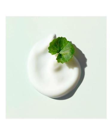 Dr G Zagar cream with Panthenol Red Blemish Soothing Up Sun - Buy Online on GoSupps.com