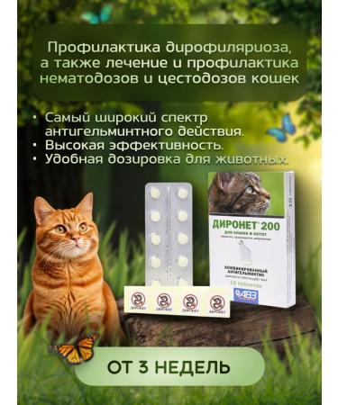 AVZ Dironet 200 anthelmintic for cats 10 tablets - Buy Online on GoSupps.com