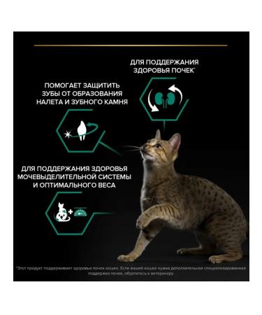 PRO PLAN Dry food for cats turkey 3 kg - Buy Online on GoSupps.com