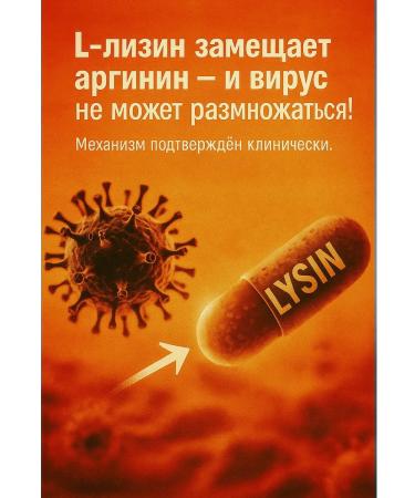 Excellent L-Lisin amino acid B vitamins vitamin C zinc - Buy Online on GoSupps.com