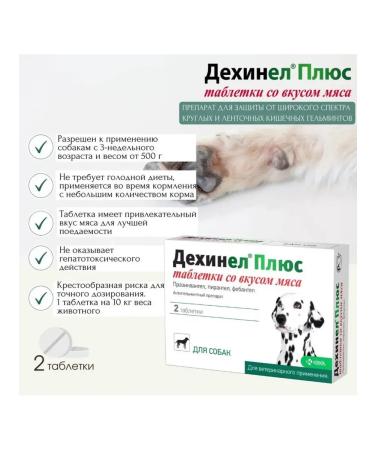 KRKA Dechinel tablets plus anthelmintic for dogs 2 tablets - Buy Online on GoSupps.com