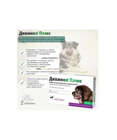 KRKA Deckhinel tablets plus the drug for large dogs 2 tablets - Buy Online on GoSupps.com