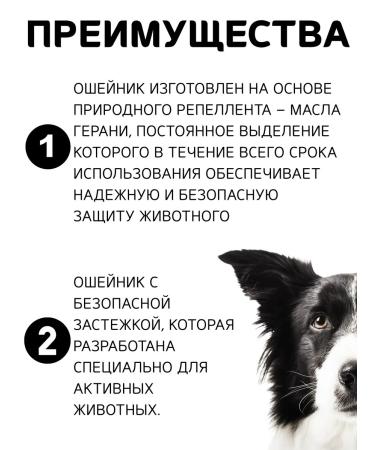 Doctor Zoo Bio -eager for dogs 65 cm red - Buy Online on GoSupps.com