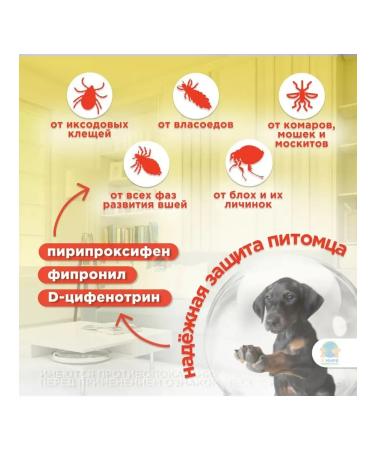 Neoterica Rolf Club Club 3D 40cm dog and 40cm dogs - Buy Online on GoSupps.com