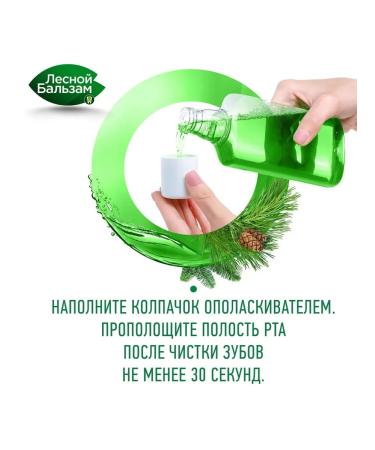 Forest balsam Set of toothpaste and rinse aids against bleeding - Buy Online on GoSupps.com