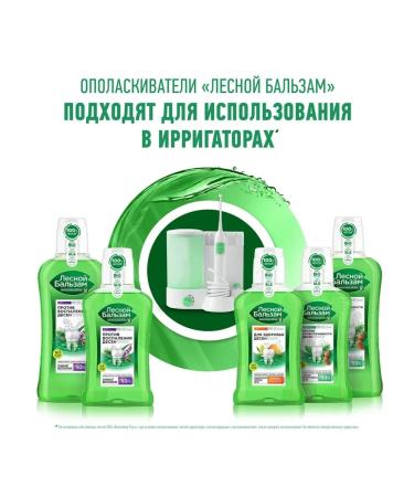 Forest balsam Set of toothpaste and rinse aids against bleeding - Buy Online on GoSupps.com