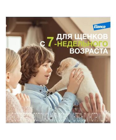 Elanco Foresteen collar (up to 8kg) insectoacaricidal for dogs 38cm - Buy Online on GoSupps.com