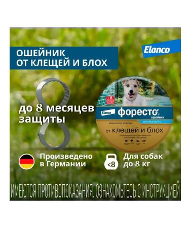Elanco Foresteen collar (up to 8kg) insectoacaricidal for dogs 38cm - Buy Online on GoSupps.com