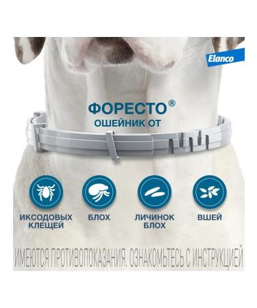 Elanco Foresteen collar (up to 8kg) insectoacaricidal for dogs 38cm - Buy Online on GoSupps.com
