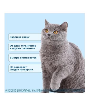 KRKA Sealess for cats 2.6 - 7.5kg 1 pipette - Buy Online on GoSupps.com