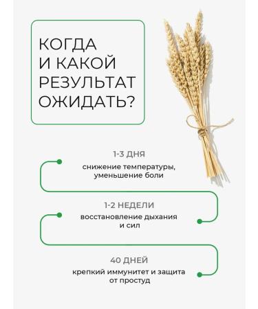 HAYAT Amixifil from colds and flu - Buy Online on GoSupps.com