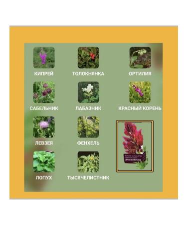 Phytocha for men Altai 26 with red root - Buy Online on GoSupps.com