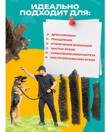 Pat Buffet SHUBET BURNING stripes of treats for dogs 100GR - Buy Online on GoSupps.com