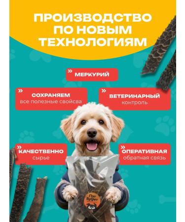 Pat Buffet SHUBEC BURNE STRESS OF ALECTIONS FOR DOGS 300GR - Buy Online on GoSupps.com