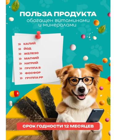 Pat Buffet SHUBET BURNING stripes of treats for dogs 1 kg - Buy Online on GoSupps.com