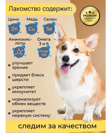 Doghigh Dog's treats for dogs - Buy Online on GoSupps.com