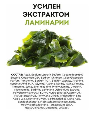 DOLCE MILK Shower gel for 3B1 wild forest body face hair 460 ml 1pc - Buy Online on GoSupps.com