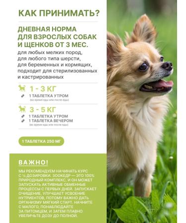 Zoocedr Natural vitamins for dogs puppies - Buy Online on GoSupps.com