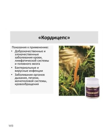 Nimantika Cordyceps 2 packs of 60 capsules - Buy Online on GoSupps.com