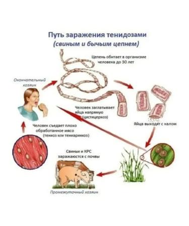 Nimantika Osinol tablets 2 banks from parasites - Buy Online on GoSupps.com