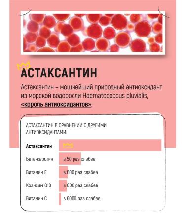 Vividus Fodder additive of wild salmon oil with astaxantin 500 ml - Buy Online on GoSupps.com