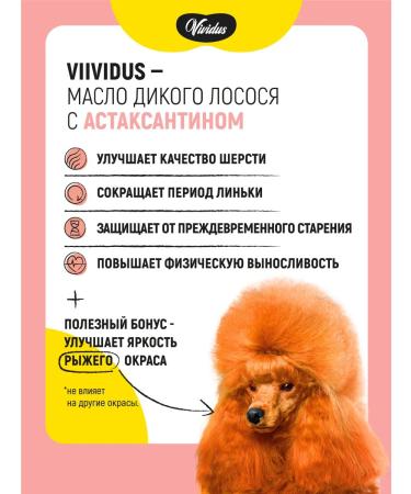 Vividus Fodder additive of wild salmon oil with astaxantin 500 ml - Buy Online on GoSupps.com