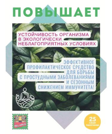 HERBAL HEALER Phytochai "get well" 25 sachets of packages - Buy Online on GoSupps.com