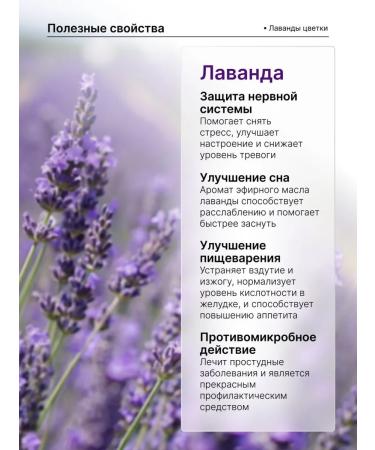 Herbal Magic Lavender Phytochis from herbal's insomnia in pyramids - Buy Online on GoSupps.com