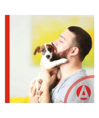 Apicenna Dropa drops for dogs and puppies  - Buy Online on GoSupps.com