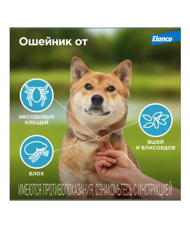 Elanco Kilts collar for dogs from fleas and ticks 35 cm - Buy Online on GoSupps.com