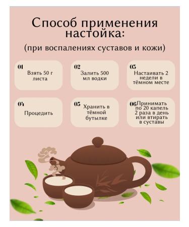 Birch sheet whole 100 g Drevomed - Buy Online on GoSupps.com