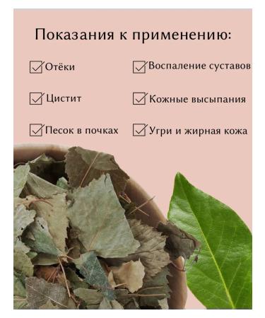 Birch sheet whole 100 g Drevomed - Buy Online on GoSupps.com