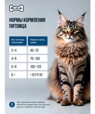 Gina Dry elite food for cats Tuna rice 3 kg - Buy Online on GoSupps.com