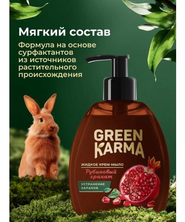 Green Karma Liquid cream-soap perfumed for the kitchen - Buy Online on GoSupps.com