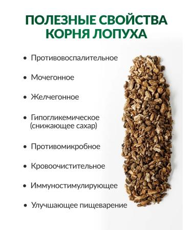 FOREST LINE Burdock root 2 to 100 grams - Buy Online on GoSupps.com