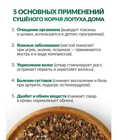 FOREST LINE Burdock root 2 to 100 grams - Buy Online on GoSupps.com