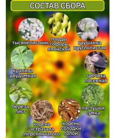 Blagodeya Herbal collection kidney 100 g - Buy Online on GoSupps.com