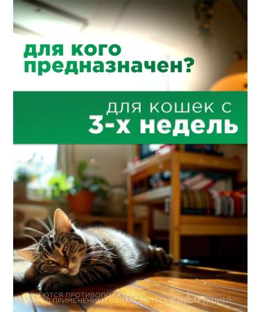 ASTRAPHARM Supramil from helminths for cats  - Buy Online on GoSupps.com