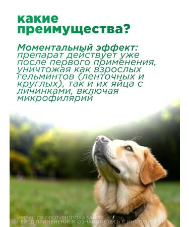 ASTRAPHARM Supramil from helminths for dogs  - Buy Online on GoSupps.com