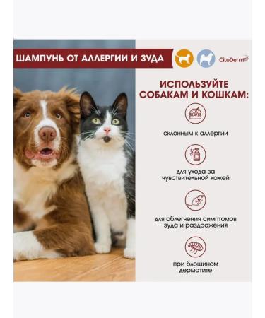 Cytoderm shampoo for dogs and cats of allergies - Buy Online on GoSupps.com