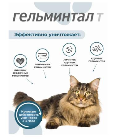 Neoterica Helmits Helmintal Helmits for cats more than 4 kg 2 pcs - Buy Online on GoSupps.com