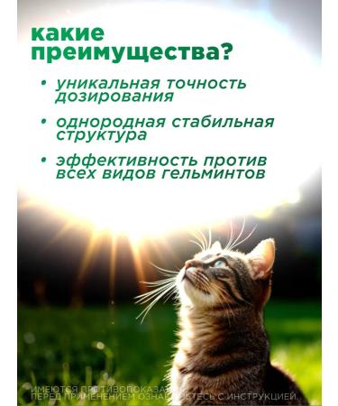 ASTRAPHARM Emulsion Supramil for cats from 2 kg - Buy Online on GoSupps.com