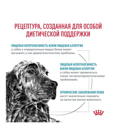ROYAL CANIN Dry Hypoallergenic food for dogs with an allergy of 1.5 kg 4pcs - Buy Online on GoSupps.com
