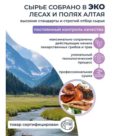 AltHerbs Chaga with Reishi and the root of the burdock of the capsule in a gift box - Buy Online on GoSupps.com