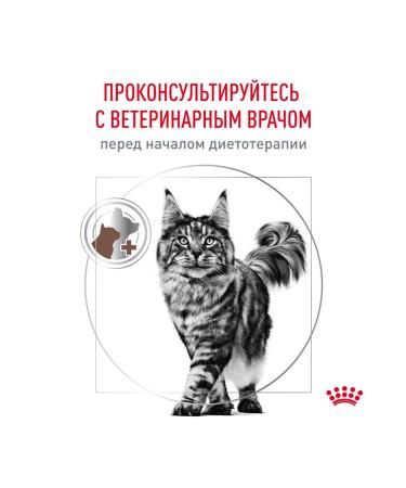 ROYAL CANIN Dry Hepatic HF26 for cats 0.35 kg 2 pcs - Buy Online on GoSupps.com