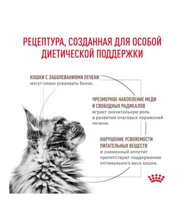 ROYAL CANIN Dry Hepatic HF26 for cats 0.35 kg 2 pcs - Buy Online on GoSupps.com