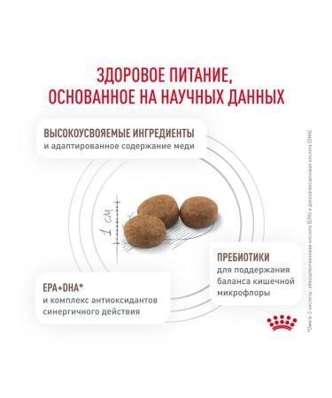 ROYAL CANIN Dry Hepatic HF26 for cats 0.35 kg 2 pcs - Buy Online on GoSupps.com